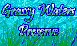 grasy water preserve